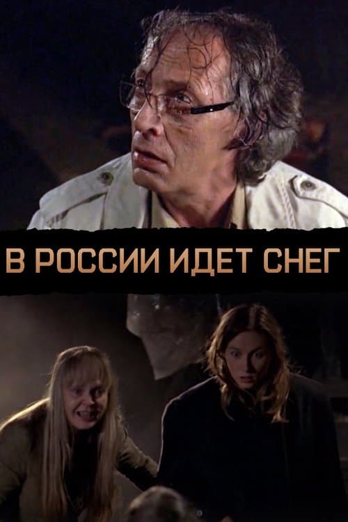 В России идёт снегのポスター