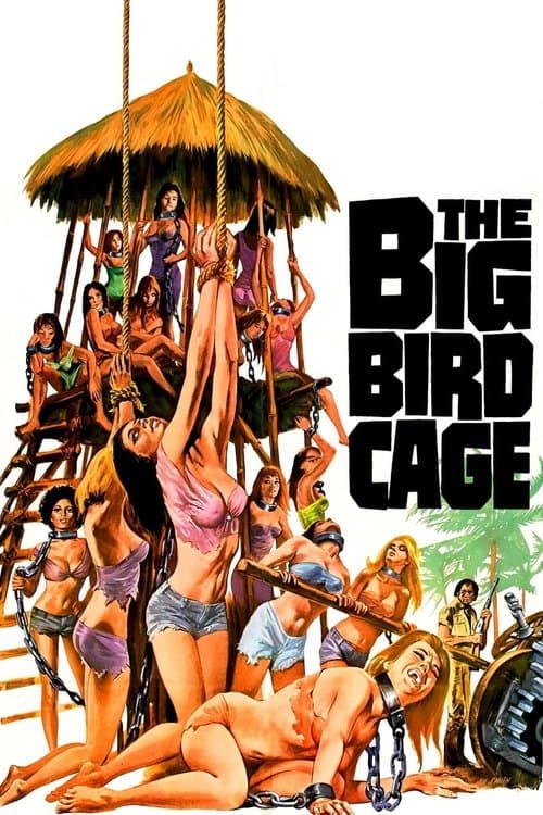 The Big Bird Cageのポスター