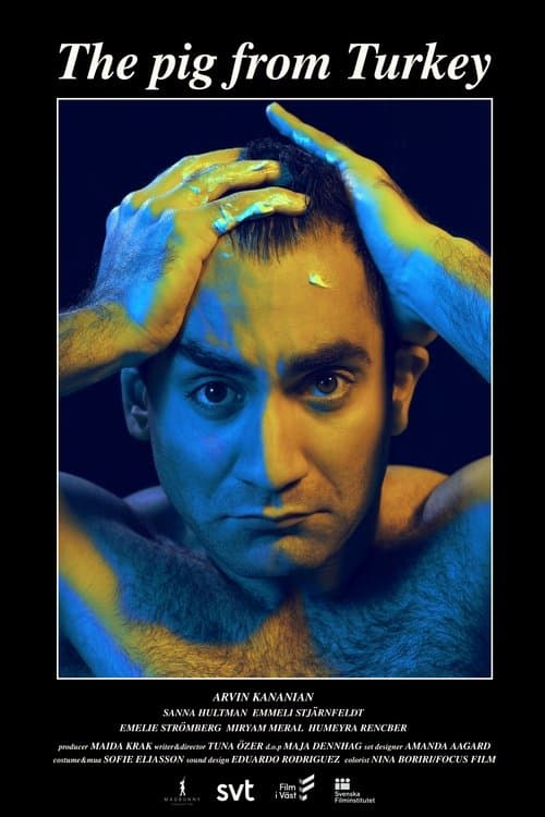 Grisen från Turkietのポスター