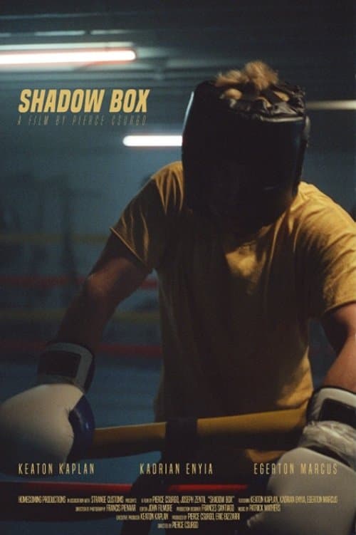 Shadow Boxのポスター