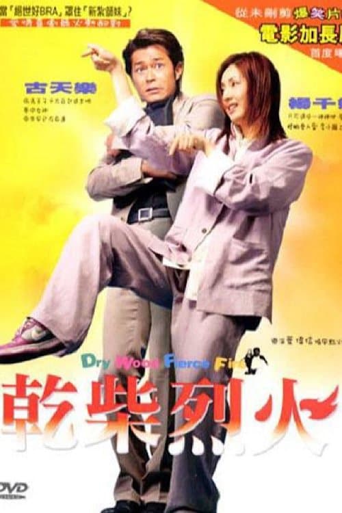 乾柴烈火のポスター