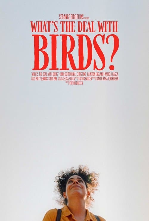 What's The Deal With Birds?のポスター