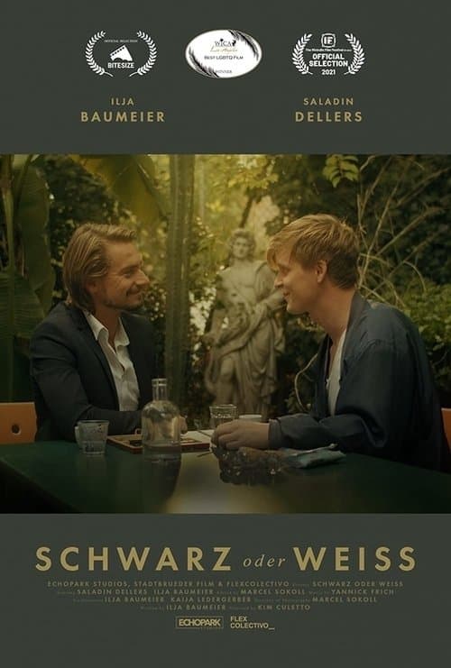 Schwarz oder Weissのポスター