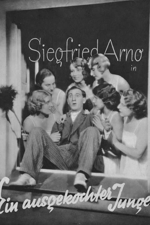 Ein ausgekochter Jungeのポスター