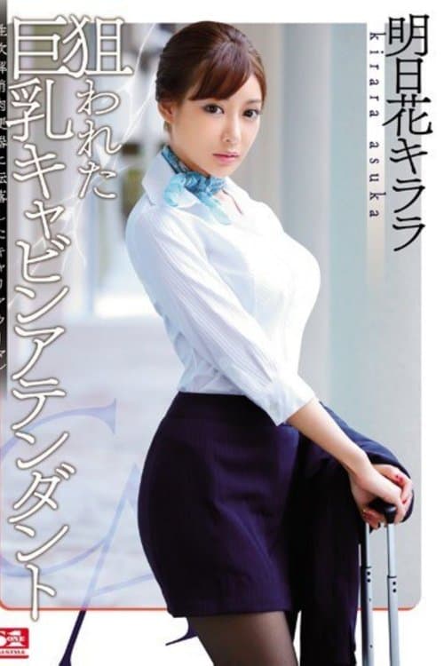 狙われた巨乳キャビンアテンダント 性欲解消肉便器に転落したキャリアウーマンのポスター
