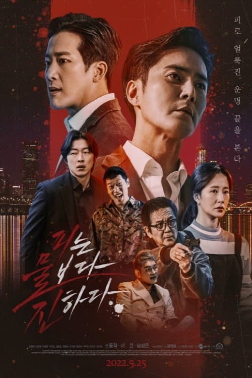 피는 물보다 진하다のポスター