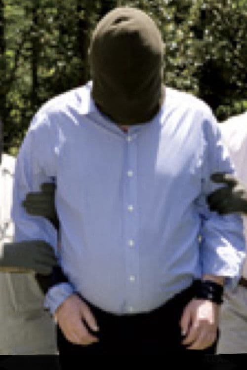 Christopher Hitchens: Believe Me, It's Tortureのポスター