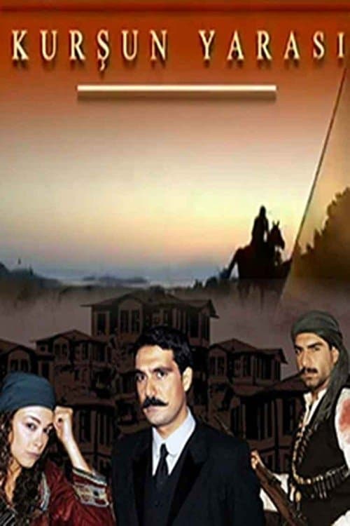 Kurşun Yarasıのポスター