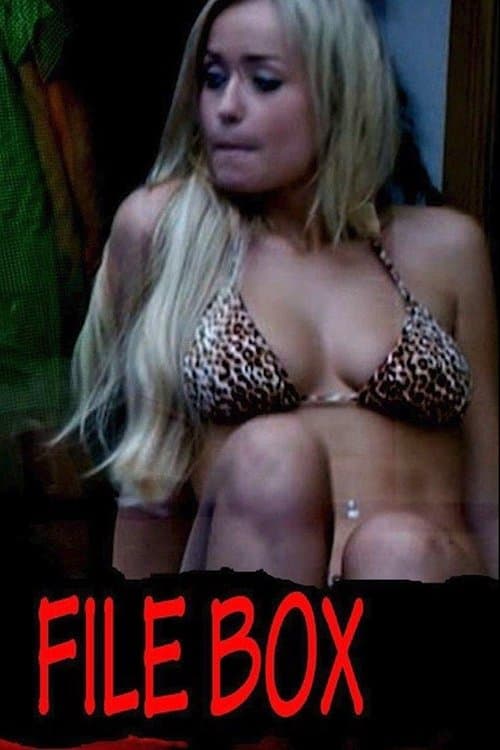 File Boxのポスター