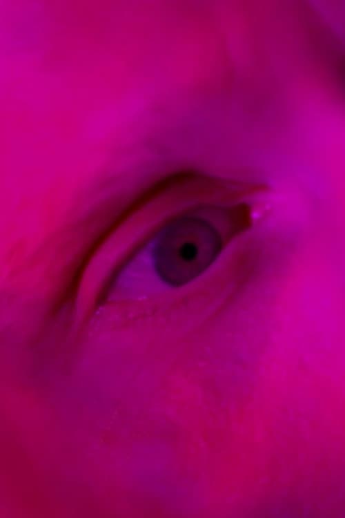 Endliche Erinnerungenのポスター