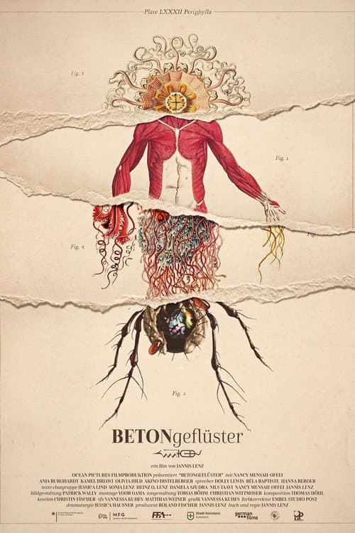 Betongeflüsterのポスター