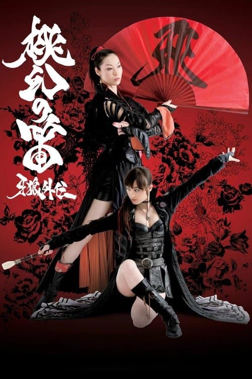 牙狼外伝～桃幻の笛～のポスター