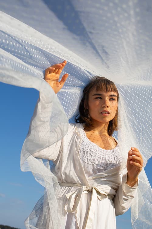 Heatwave Reverieのポスター