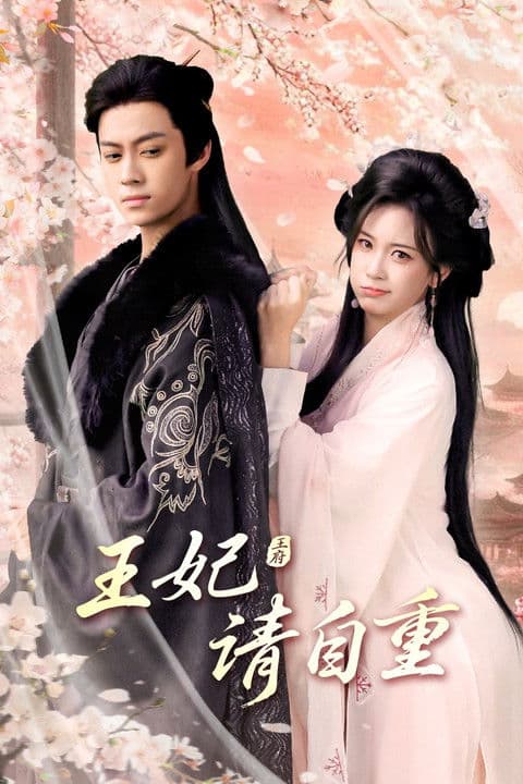 王妃请自重のポスター