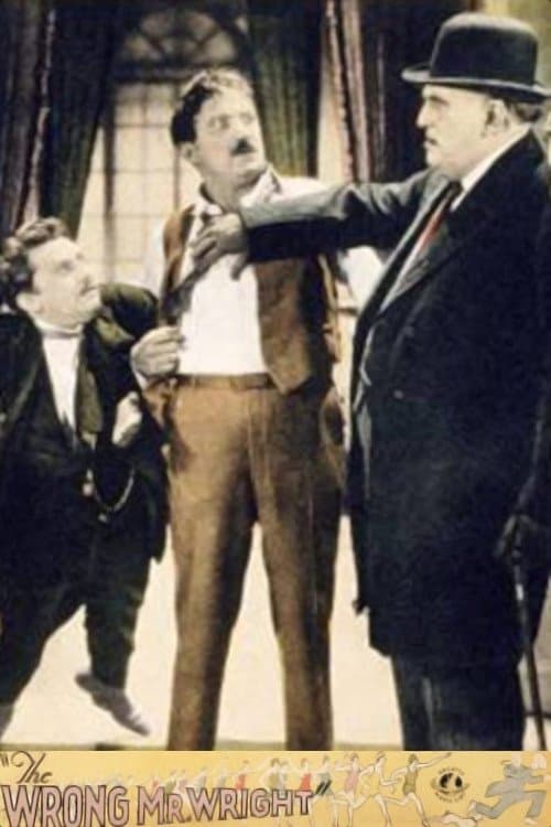 The Wrong Mr. Wrightのポスター