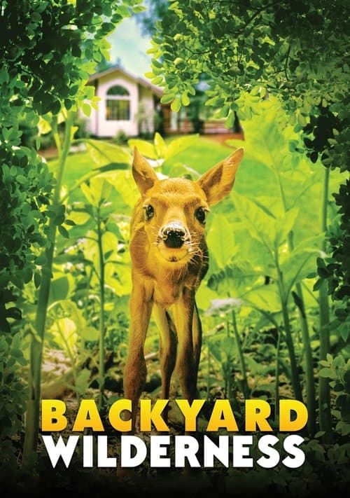 Backyard Wildernessのポスター