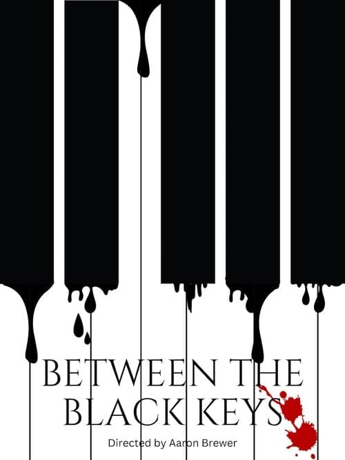 Between The Black Keysのポスター