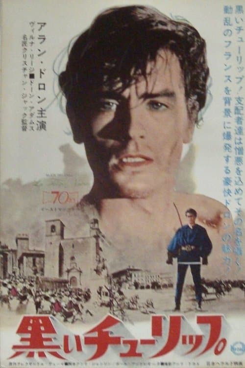 黒いチューリップのポスター
