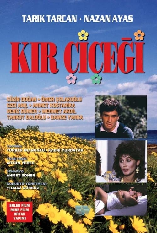 Kır Çiçeğiのポスター