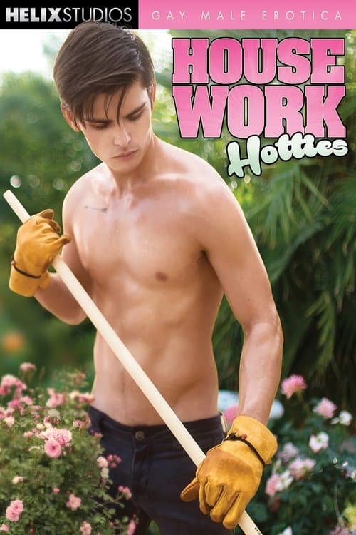 Housework Hottiesのポスター
