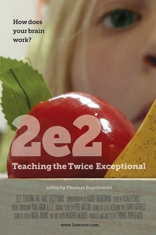2e2: Teaching the Twice Exceptionalのポスター