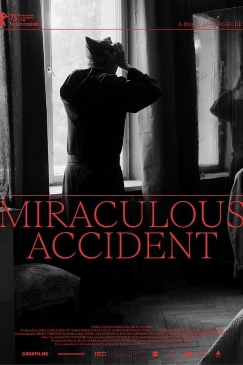 Miraculous Accidentのポスター