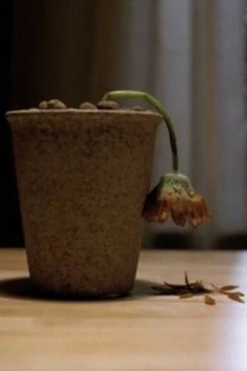 Älskade blommaのポスター