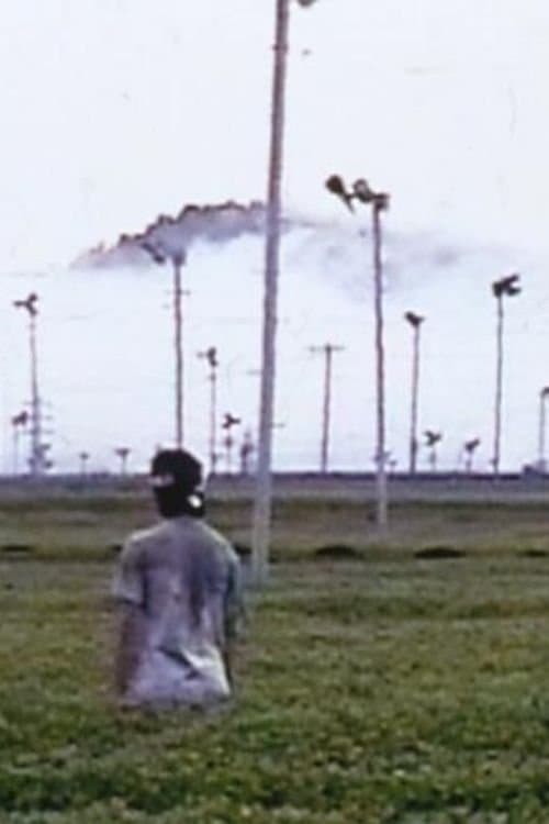 5月2日、茶をつくるのポスター