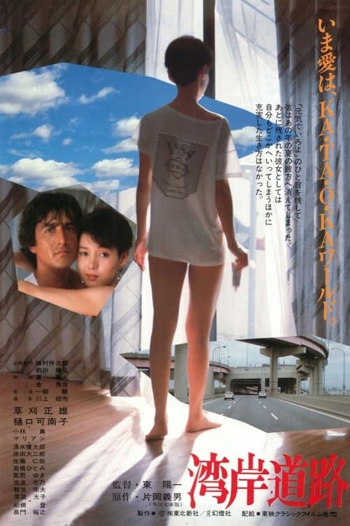 湾岸道路のポスター