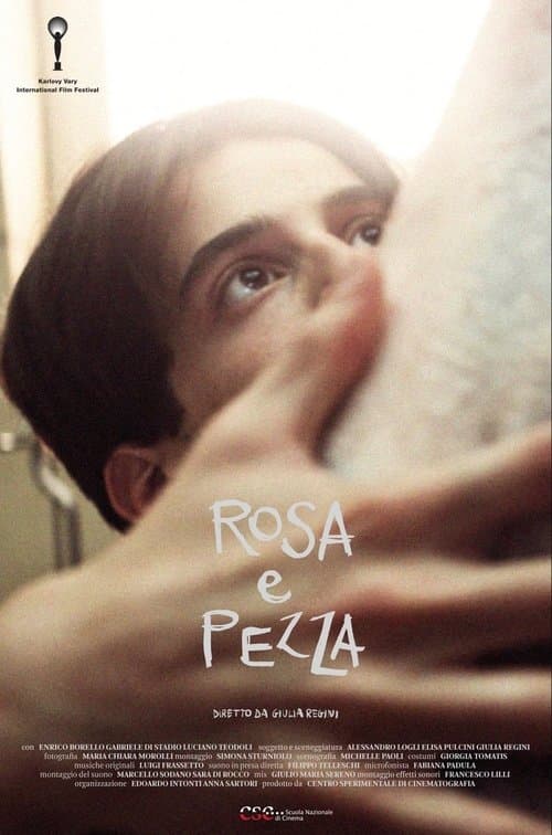 Rosa e pezzaのポスター