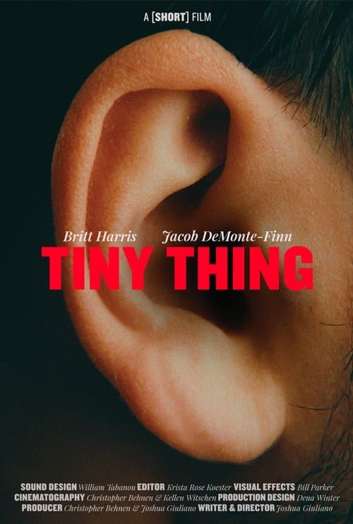 Tiny Thingのポスター