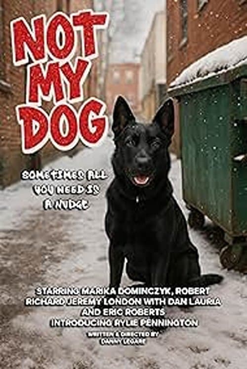 Not My Dogのポスター