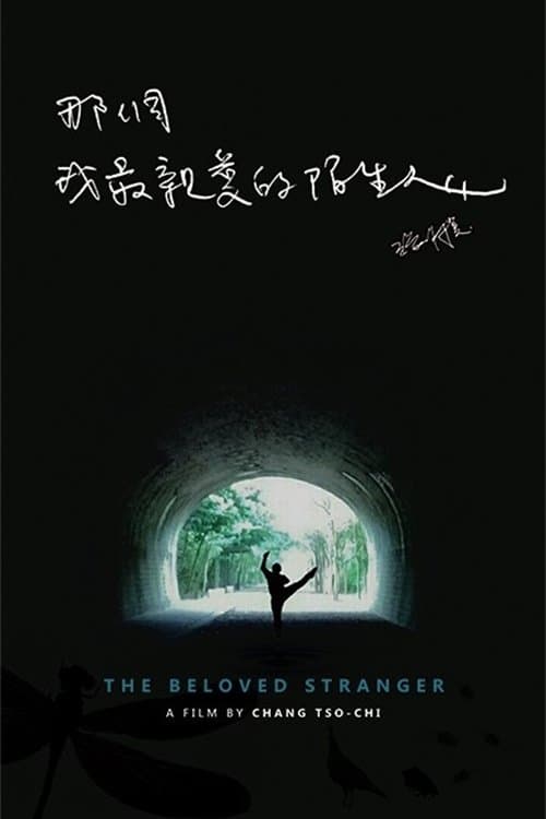 那個我最親愛的陌生人のポスター
