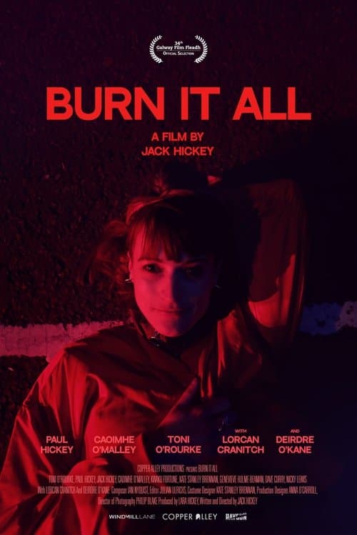 Burn It Allのポスター