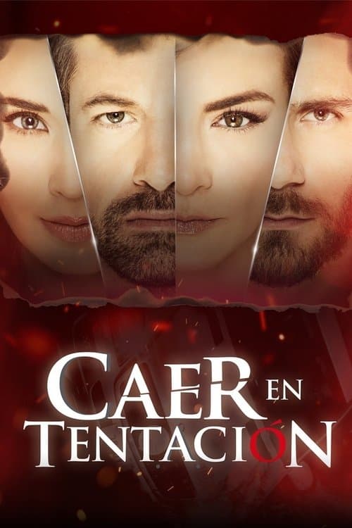 Caer en tentaciónのポスター