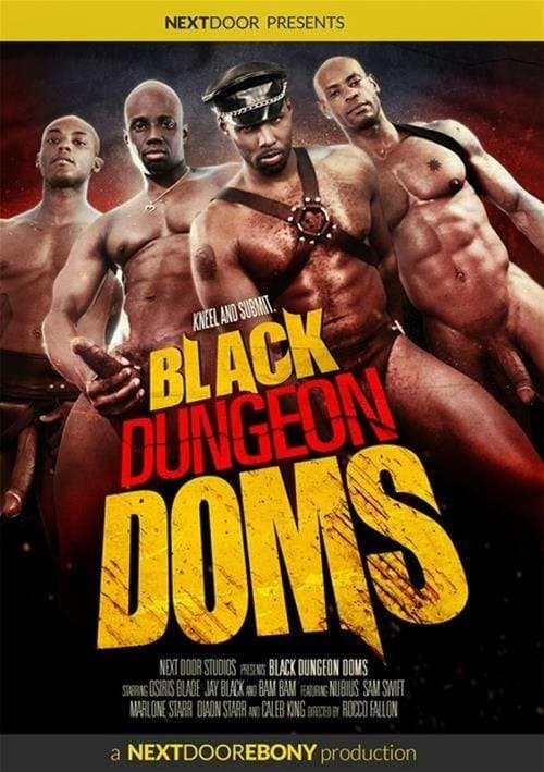 Black Dungeon Domsのポスター