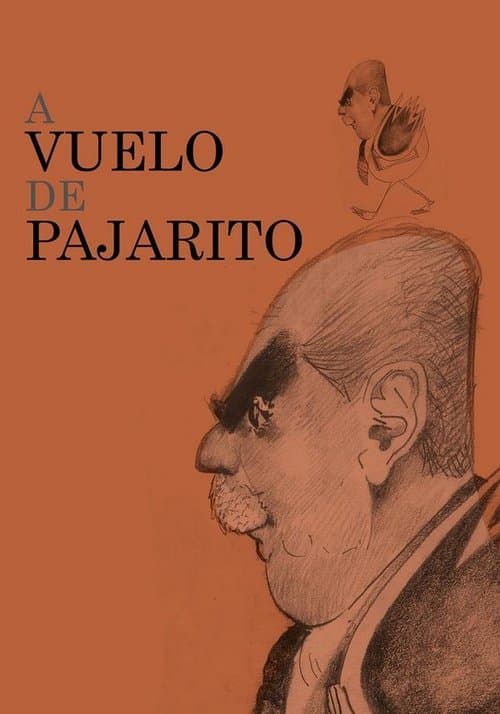 A vuelo de pajaritoのポスター