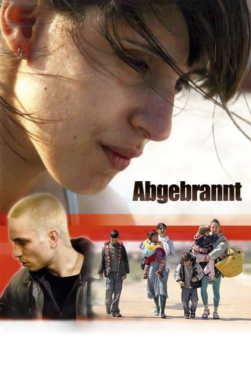 Abgebranntのポスター