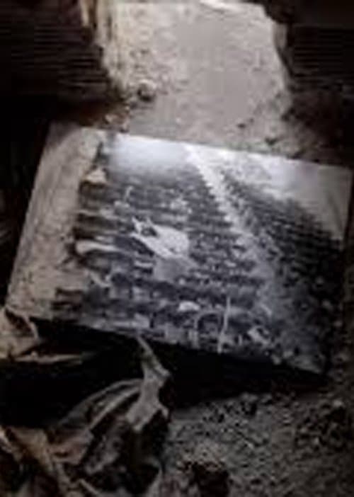 Isso Vale um Filmeのポスター