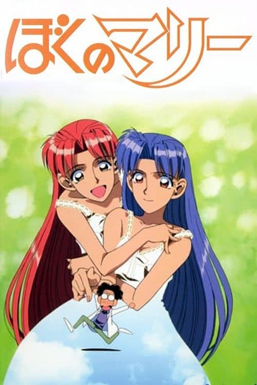 ぼくのマリーのポスター