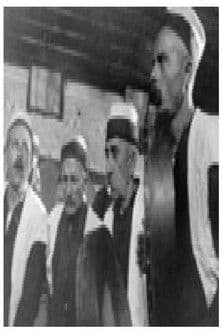 Довикување на пролеттаのポスター