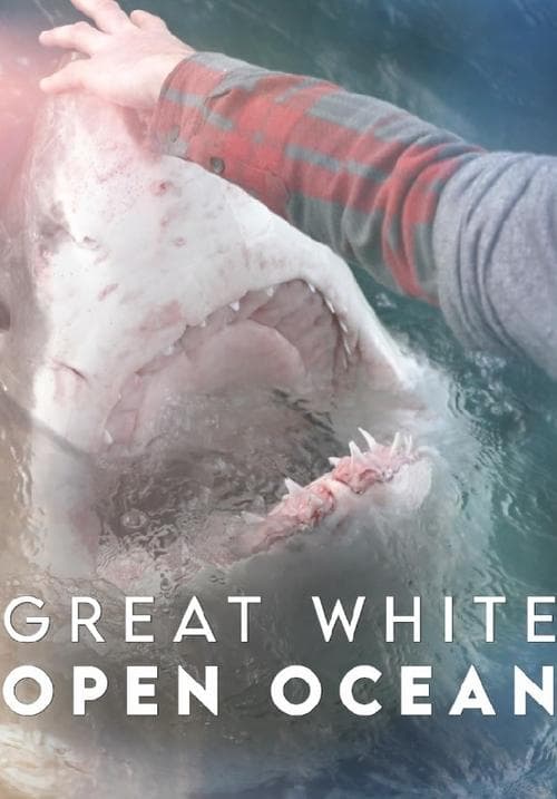Great White Open Oceanのポスター