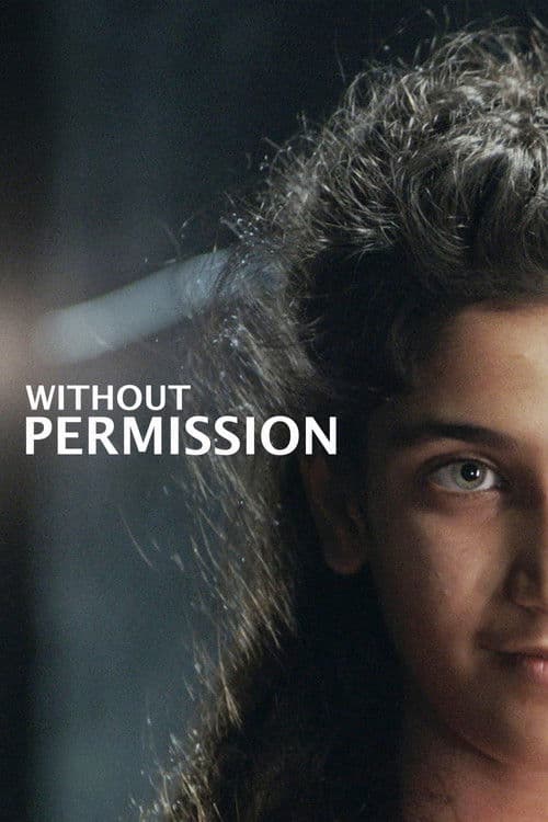Without Permissionのポスター