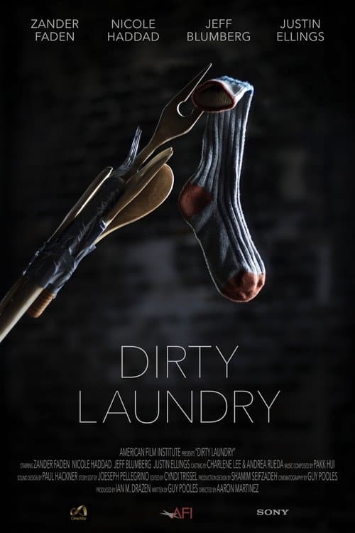 Dirty Laundryのポスター