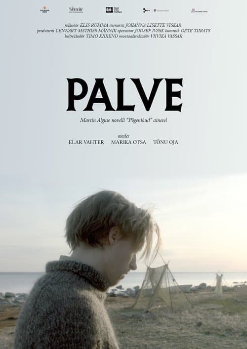 Palveのポスター