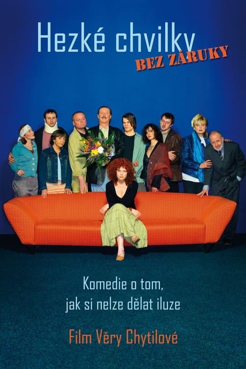 Hezké chvilky bez zárukyのポスター