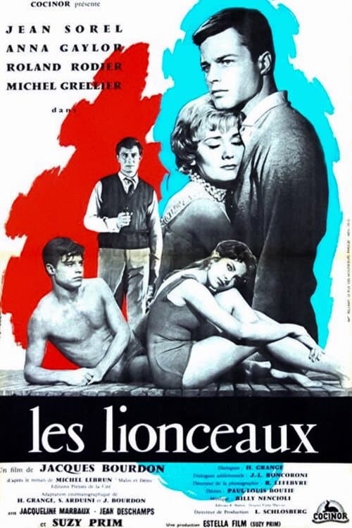 Les lionceauxのポスター
