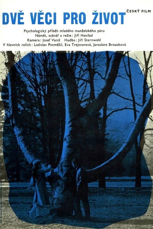 Dvě věci pro životのポスター
