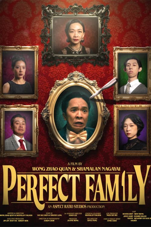 Perfect Familyのポスター