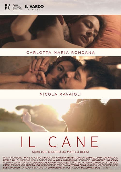 Il caneのポスター